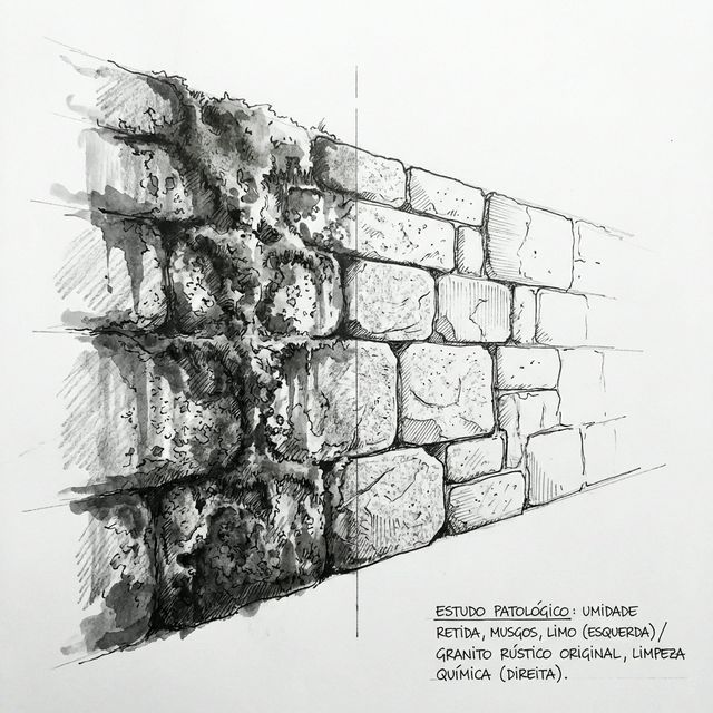 O Que Fazer se a Pedra Moledo Começar a Criar Musgo Verde?